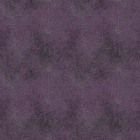 ttCARA-CD4818 PURPLE